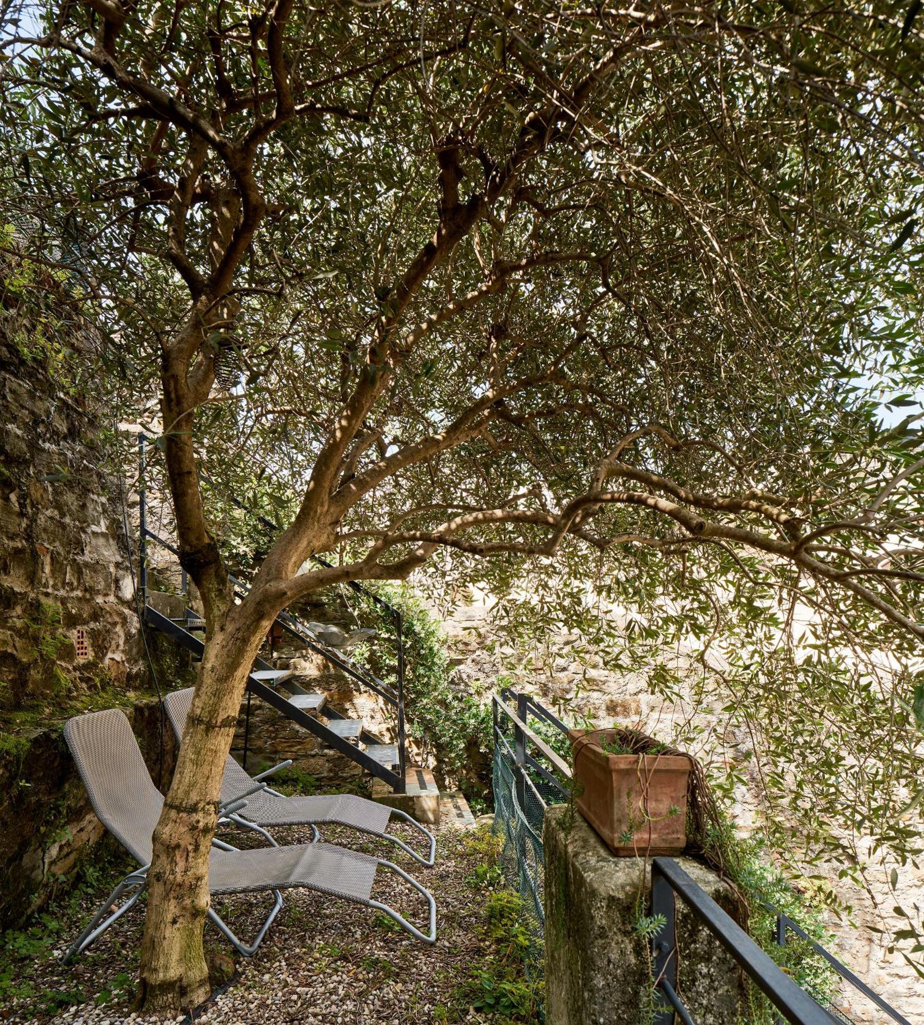的里雅斯特Giardino Segreto, In Centro公寓 外观 照片